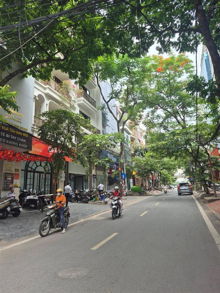 Mặt phố trần quang diệu đống đa hà nội, phân lô vỉa hè, 9 tầng thang máy kinh doanh sầm uất.