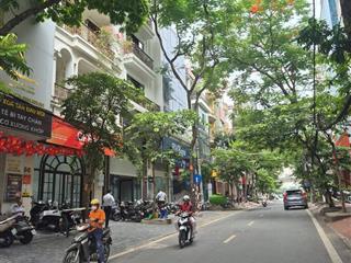 Mặt phố trần quang diệu đống đa hà nội ,phân lô vỉa hè ,9 tầng thang máy kinh doanh sầm uất .