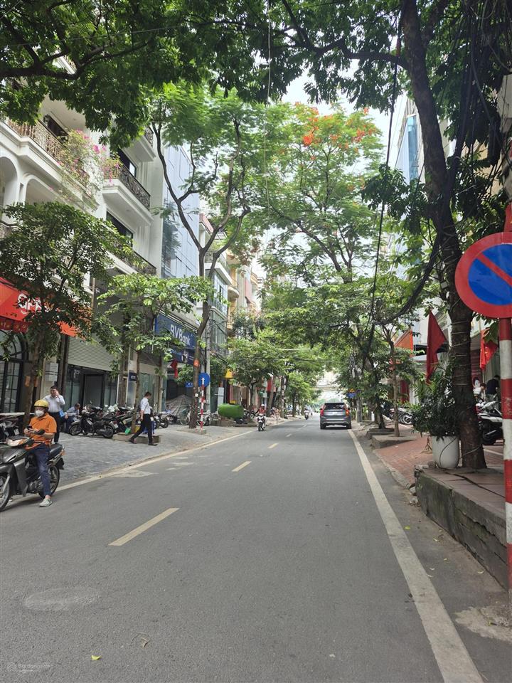 Mặt phố trần quang diệu đống đa hà nội, phân lô vỉa hè, 9 tầng thang máy kinh doanh sầm uất.