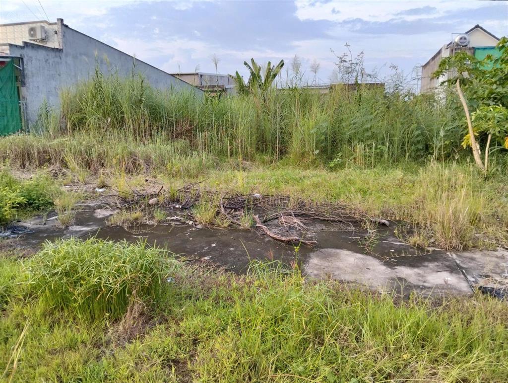 Đất nền trạm cân lộc hòa  vị trí đẹp + chính chủ