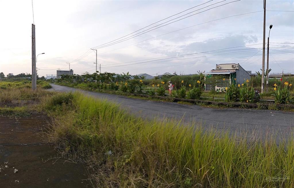 Đất nền trạm cân lộc hòa  vị trí đẹp + chính chủ