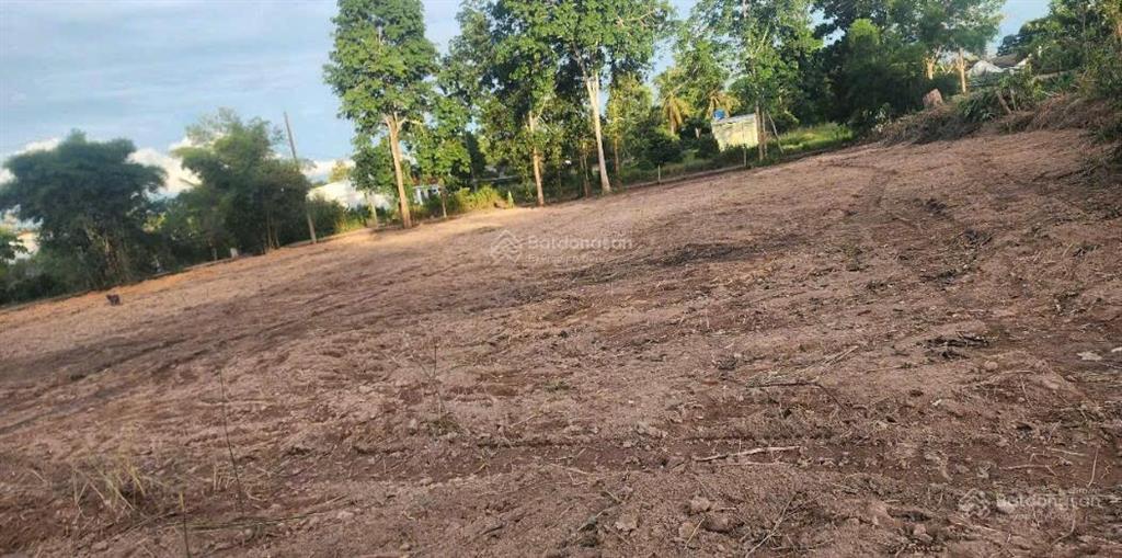 Chính chủ bán gấp lô đất mặt tiền 1000m đường cây thông ngoài,cửa dương,vị trí đắc địa,sinh lời cao