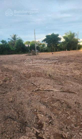Chính chủ bán gấp lô đất mặt tiền 1000m đường cây thông ngoài,cửa dương,vị trí đắc địa,sinh lời cao