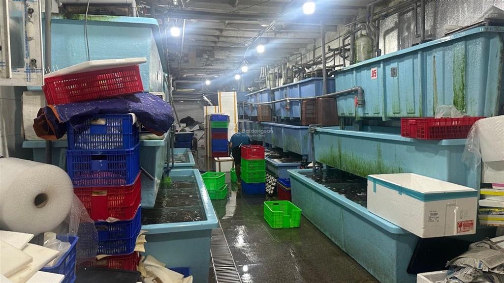 [ q1 ] quỹ đất mặt tiền võ văn kiệt 415m2 dòng tiền 300 triệu/tháng