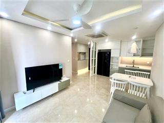 Báo đúng giá! căn hộ 2n2vs cho thuê tại vinhomes d capitale trần duy hưng