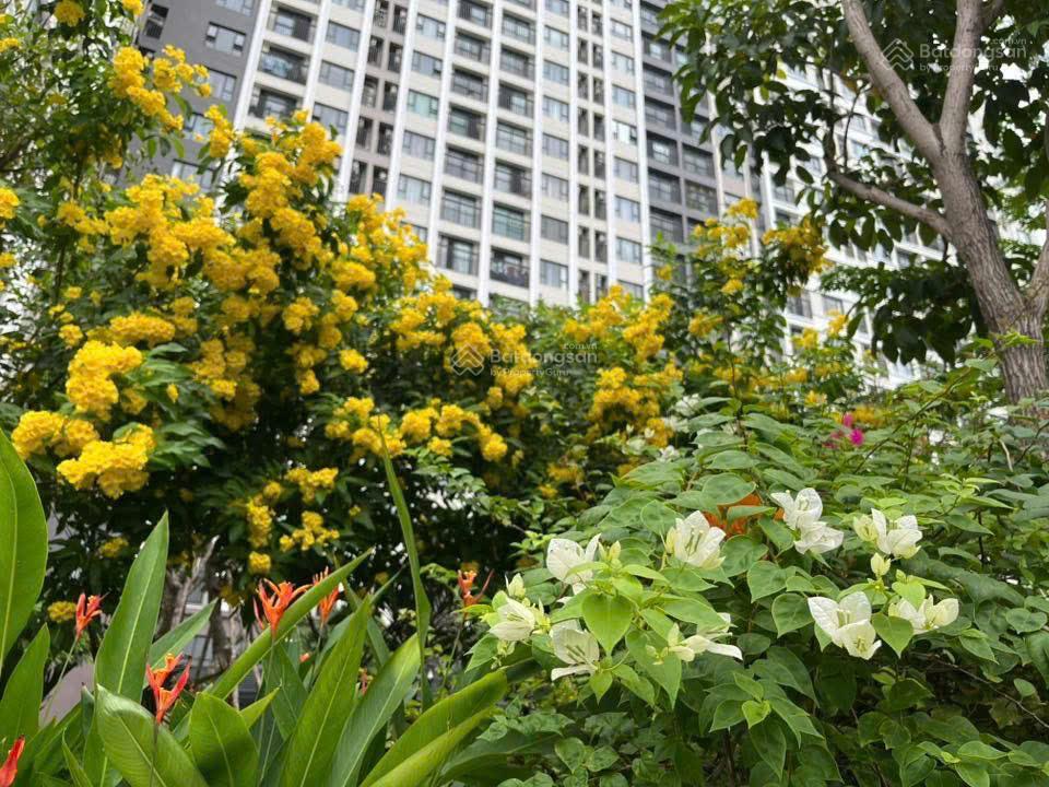 Hot!! mở bán căn hộ tầng trệt vừa ở kinh doanh tại picity high park giá chỉ 6.5 tỷ