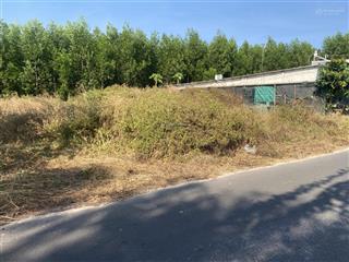 Bán lô đất thổ cư đường nhựa gần hồ bà tô xã hồ tràm tphcm chính chủ