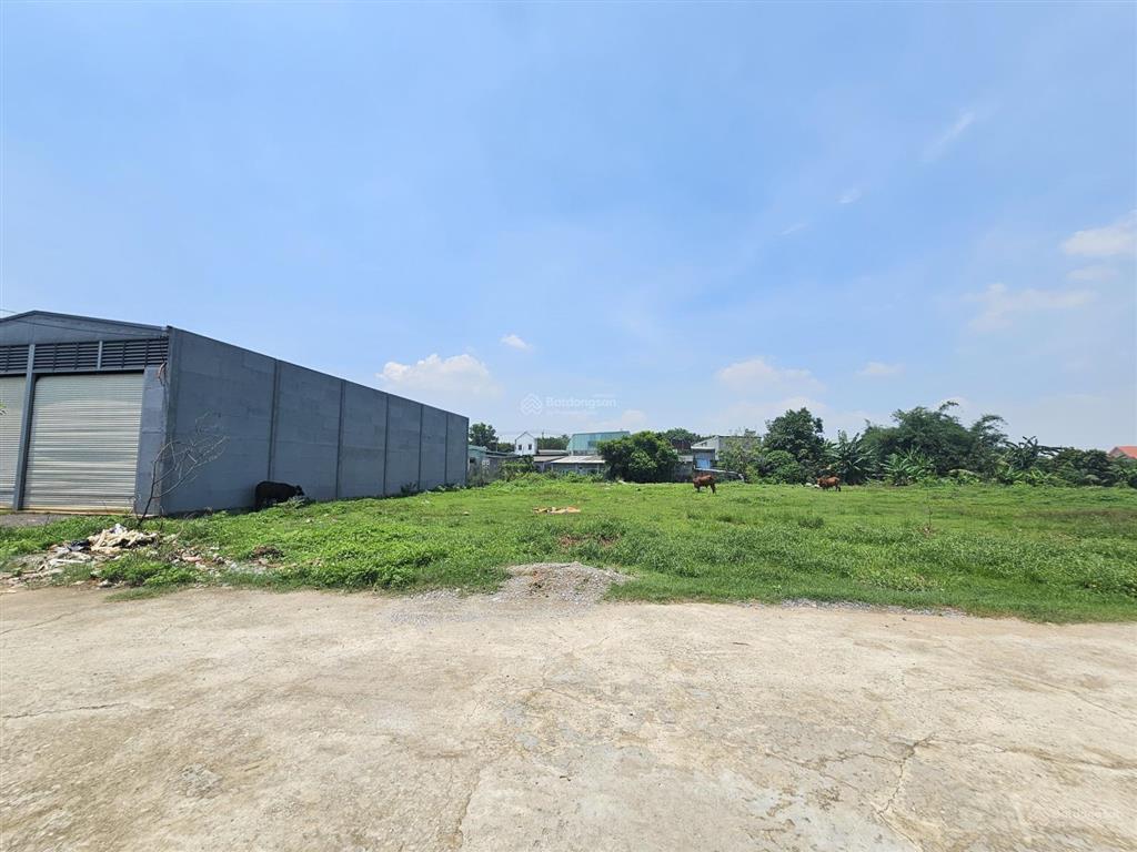 Bán đất lớn gần trường fpt đang xây, ngang 10x55m, phù hơp xây kho, căn hộ dịch vụ ok, 13,5triêu/m2