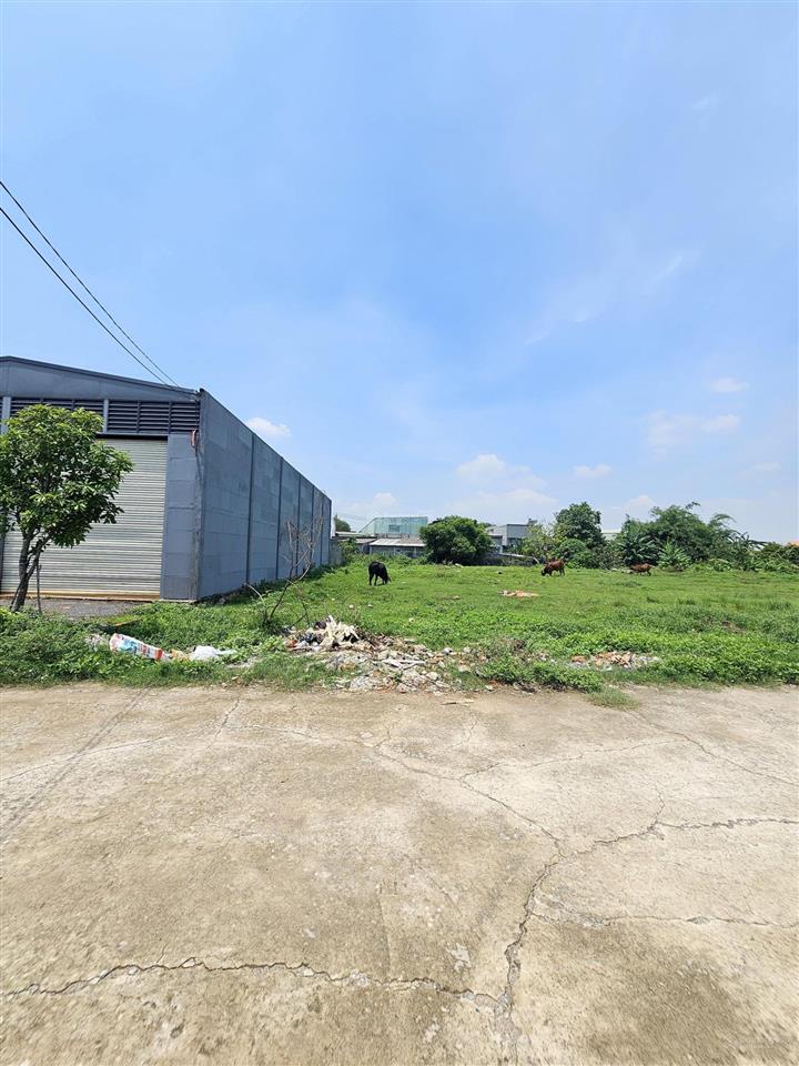 Bán đất lớn gần trường fpt đang xây, ngang 10x55m, phù hơp xây kho, căn hộ dịch vụ ok, 13,5triêu/m2