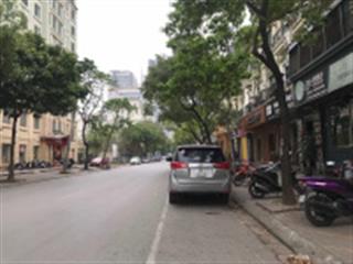 Cần bán gấp biệt thự khu đô thị mễ trì hạ mỹ đình sông đà quận nam từ liêm hà nội