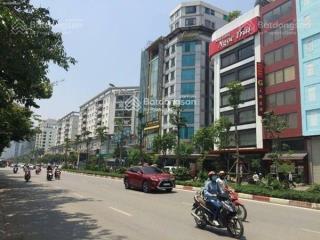 Bán gấp đất đấu giá trịnh văn bô, xuân phương, nam từ liêm, hà nội