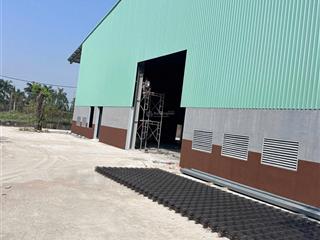 Cho thuê xưởng ql 22 dt 2100m2, pccc tự động, đường xe container tại tân phú trung, củ chi