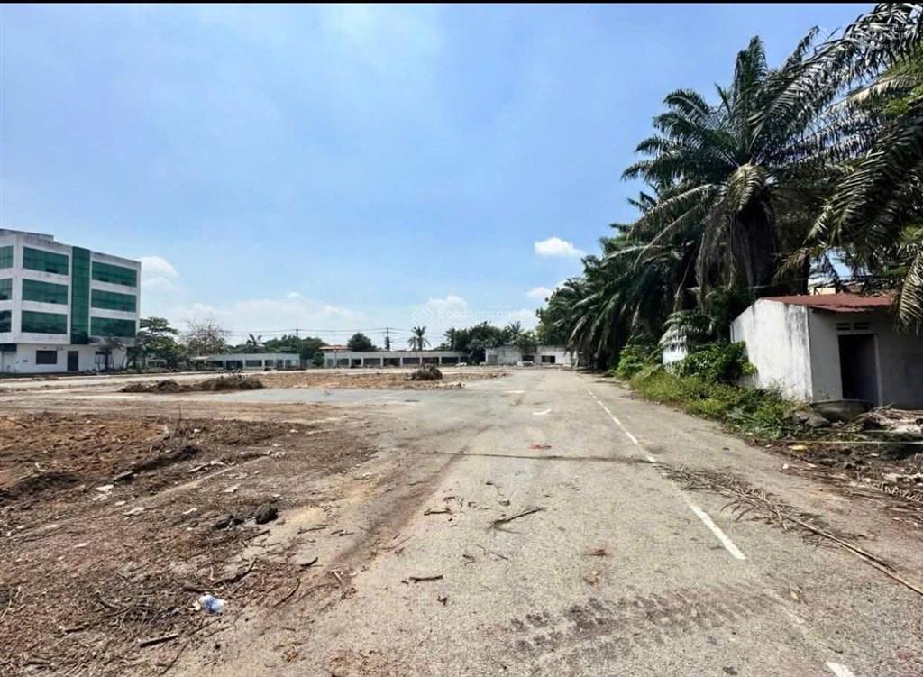 Siêu phẩm 20.000m2 mặt tiền ql1a bình tân kho xưởng bãi xe container giá chỉ 30k/m2