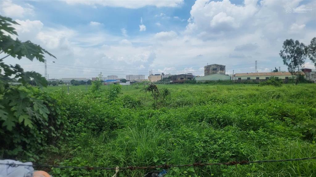 Bán gấp 5.500m² đất ở tại trung tâm bà điểm hóc môn, 2 mặt tiền, phù hợp làm dự án, xây chung cư.