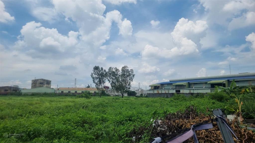 Bán gấp 5.500m² đất ở tại trung tâm bà điểm hóc môn, 2 mặt tiền, phù hợp làm dự án, xây chung cư.