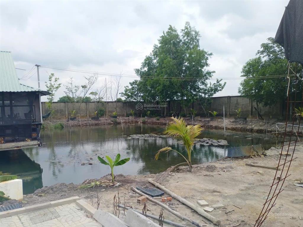 Bán đất 10.000m² có sẵn nhà, ao vườn tại xã trung an, củ chi. mặt tiền đường nhựa 12m, sổ đỏ cc
