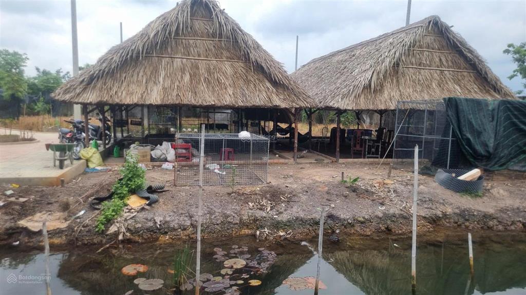 Bán đất 10.000m² có sẵn nhà, ao vườn tại xã trung an, củ chi. mặt tiền đường nhựa 12m, sổ đỏ cc