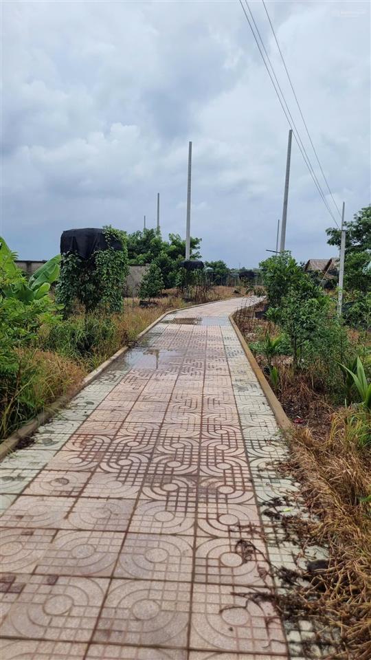 Bán đất 10.000m² có sẵn nhà, ao vườn tại xã trung an, củ chi. mặt tiền đường nhựa 12m, sổ đỏ cc