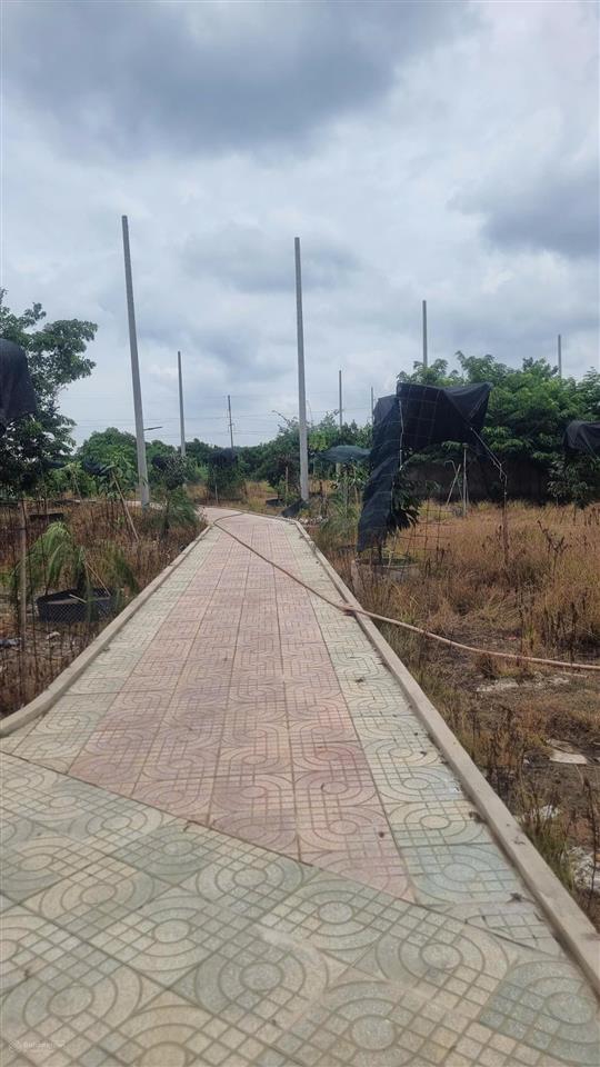 Bán đất 10.000m² có sẵn nhà, ao vườn tại xã trung an, củ chi. mặt tiền đường nhựa 12m, sổ đỏ cc