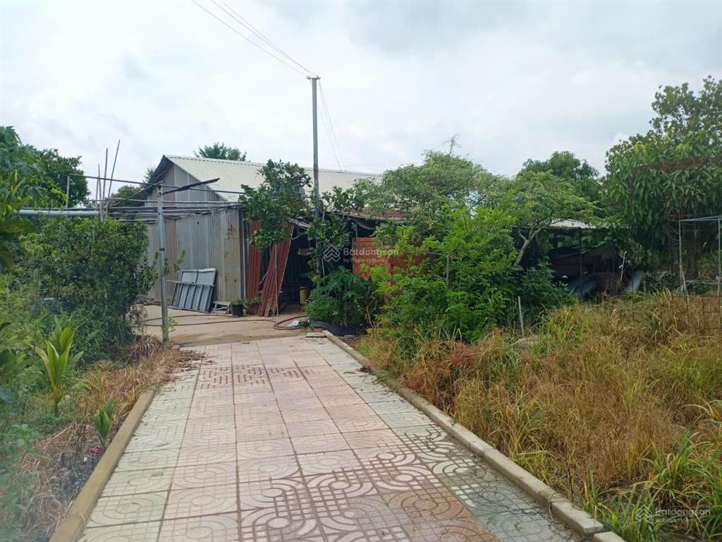 Bán đất 10.000m² có sẵn nhà, ao vườn tại xã trung an, củ chi. mặt tiền đường nhựa 12m, sổ đỏ cc