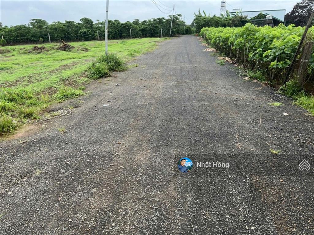 Bán đất 1020m2 tại view hồ mai thành, phan châu trinh, giá tốt chỉ với 3,5 tỷ