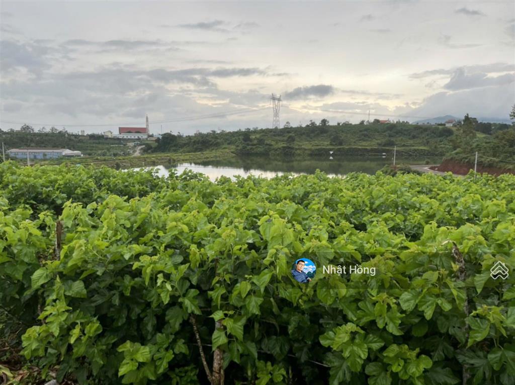 Bán đất 1020m2 tại view hồ mai thành, phan châu trinh, giá tốt chỉ với 3,5 tỷ