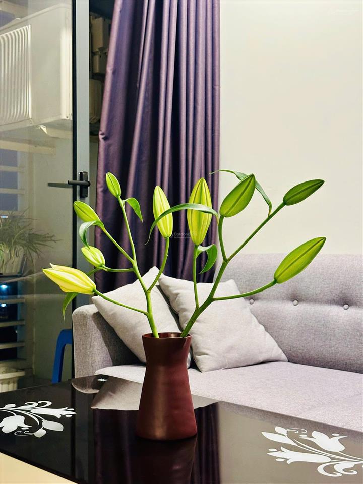 Sống trung tâm, đậm chất riêng tư, 1pn 1wc, nuôi dưỡng mục tiêu, tiết kiệm thời gian, 0938 231 ***