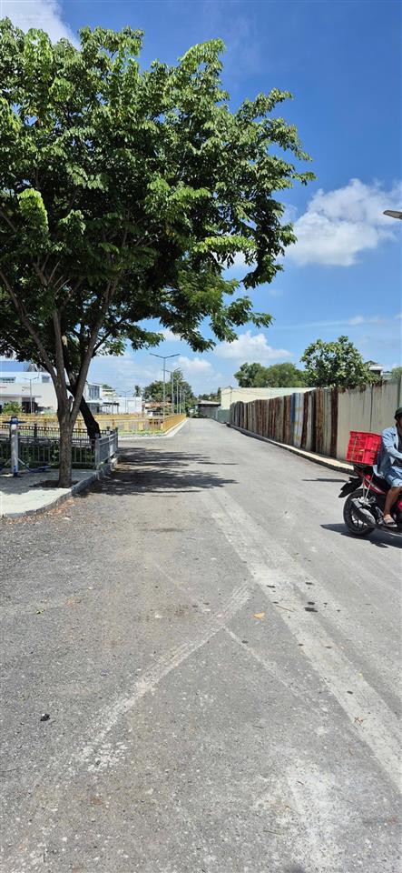 Bán lô đất đường an phú đông 12 vào 1/
