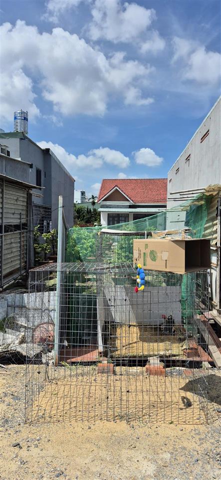 Bán lô đất đường an phú đông 12 vào 1/