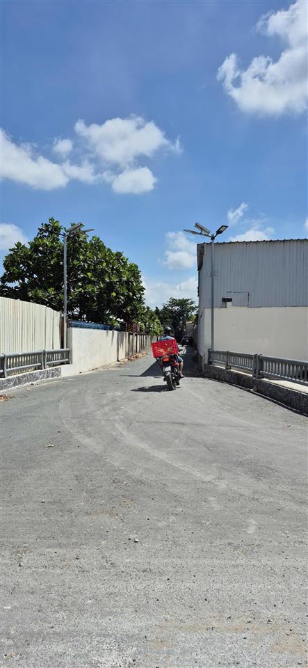 Bán lô đất đường an phú đông 12 vào 1/