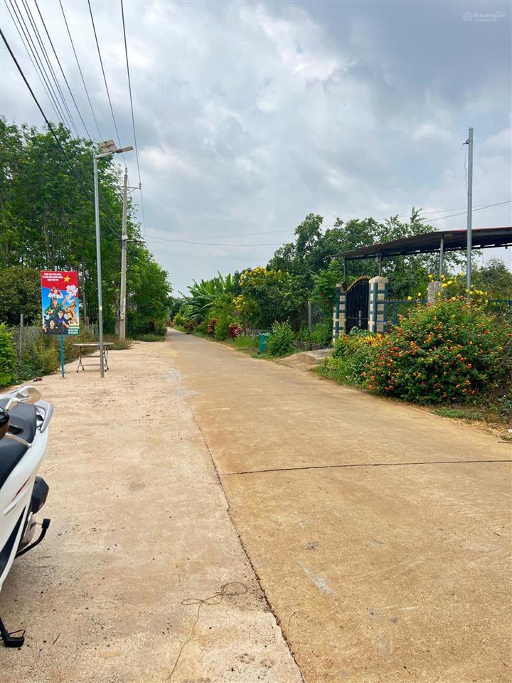 Đất xe hơi xã tân thành, tp đồng xoài, bình phước. dt 18x31m, dtcn 527,1m2, 50m2 thổ cư giá 1.55 tỷ