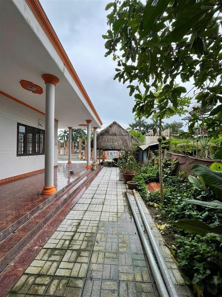 Bán gấp ~ 1350m2. mặt tiền tl 15. giảm 3tỷ, ngộp bank bán bằng giá vay bank