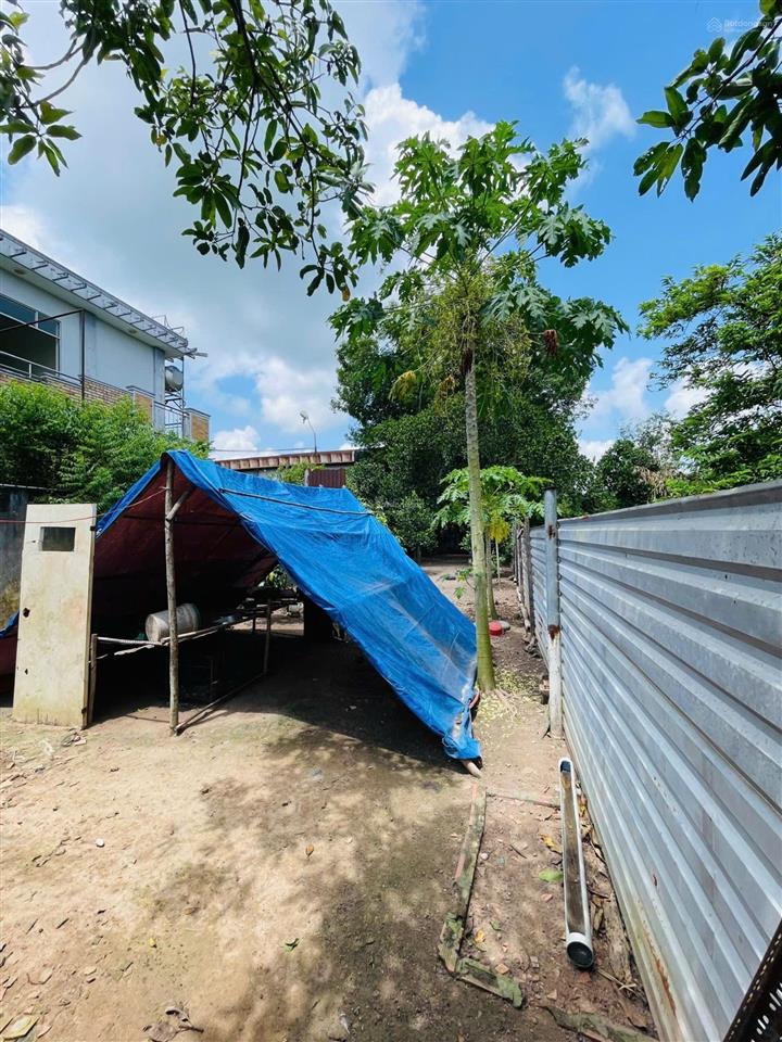 Thanh lý ngộp bank. nhà tỉnh lộ 15 520m2. giá 4,5 tỷ. kinh doanh buôn bán