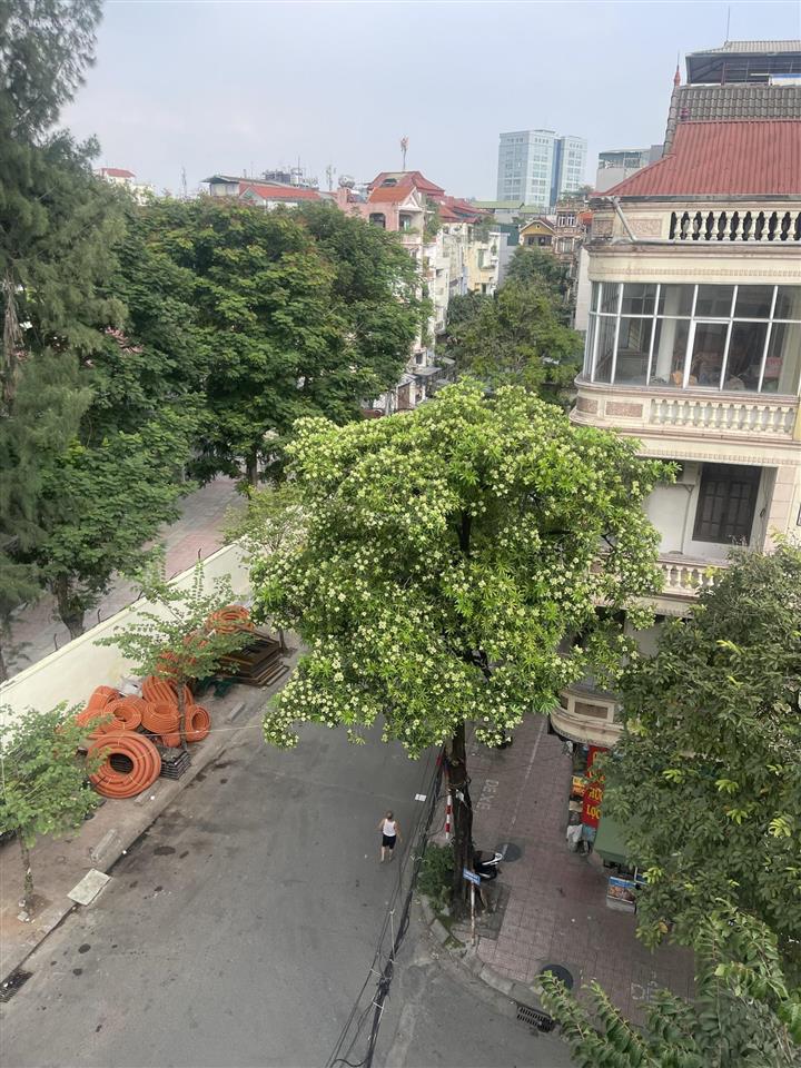 Bán nhà mặt phố vĩnh phúc  ba đình  hà nội