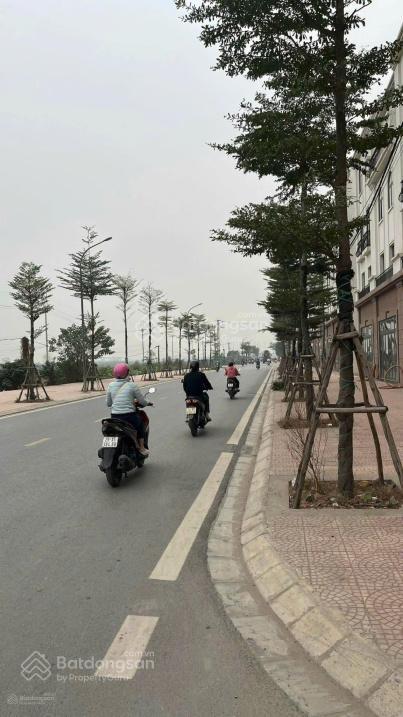 Bán gấp shophouse tại sơn đồng center, giá thỏa thuận, 75m2, 5 tầng, mặt tiền 5m