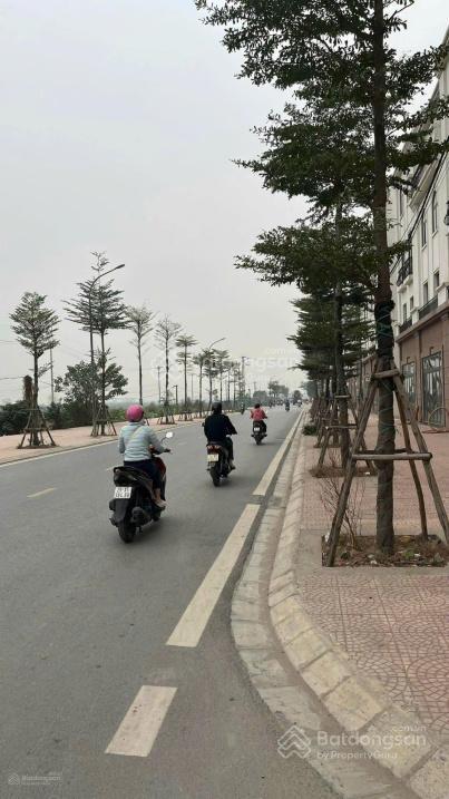 Bán gấp lô đất nền tại trục chính lk19, khu đấu giá văn phú đông yên bắc ninh, 115m2