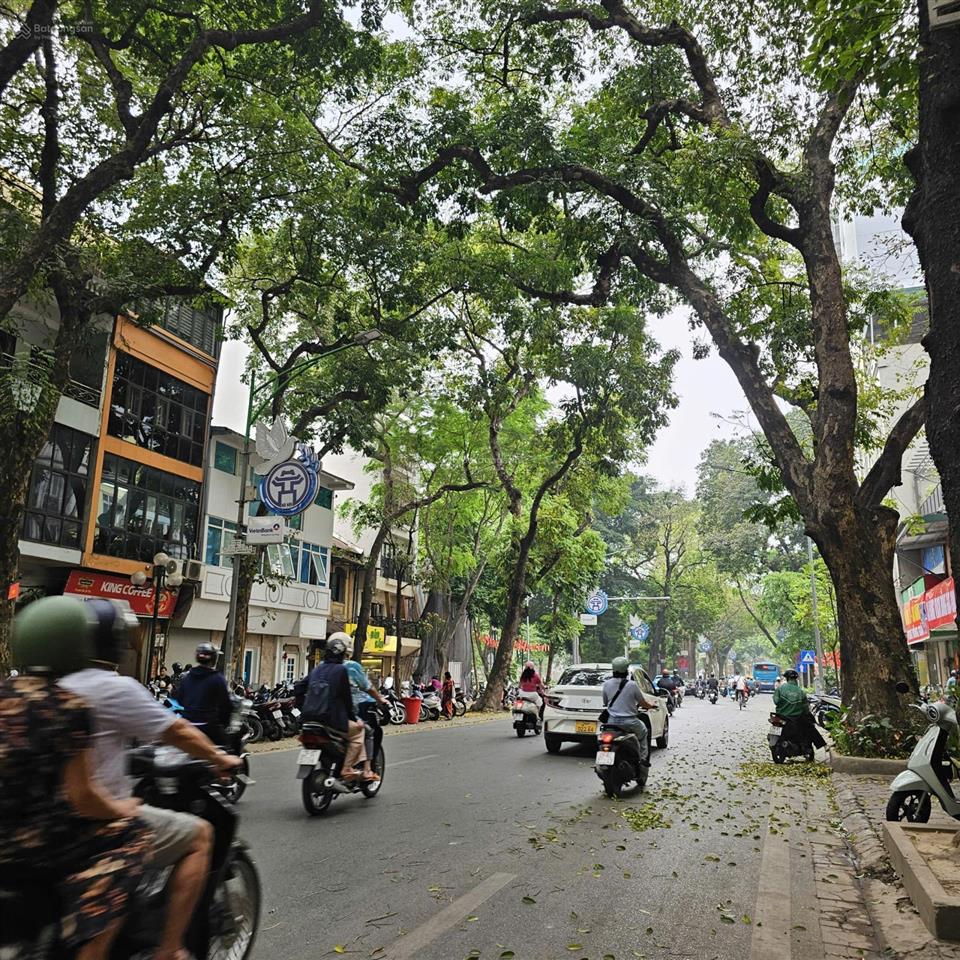 Bán nhà phan đình phùng  ba đình  50m, 4 tầng  khu dân trí cao, hiếm nhà bán