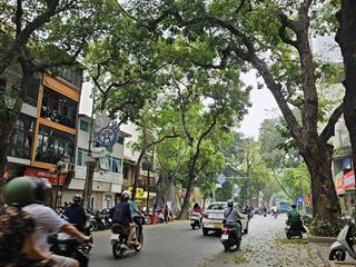 Bán nhà phan đình phùng  ba đình  50m, 4 tầng  khu dân trí cao, hiếm nhà bán