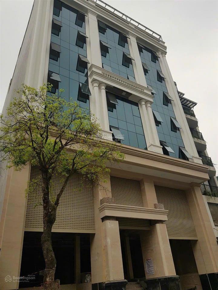 Chính chủ bán nhà mặt phố khu hoàng cầu, thái thịnh, dt 410m2, 10 tầng, mặt tiền 12m đường đôi