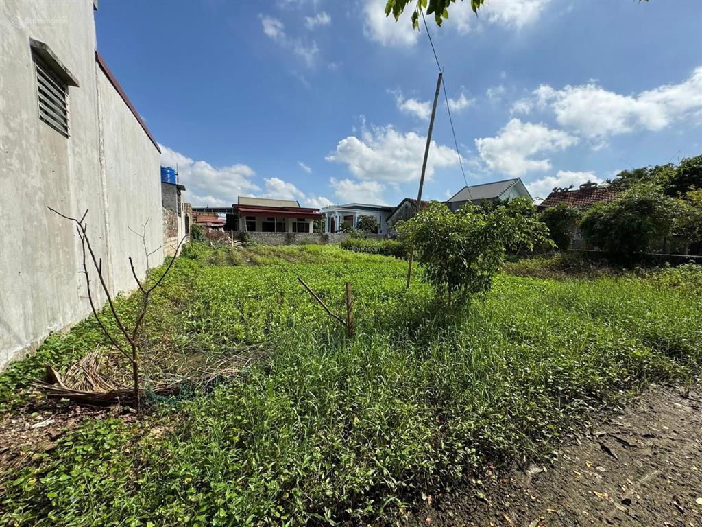 Bán gấp lô đất phường hải lĩnh