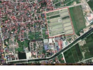 Bán đất dịch vụ bích hòa sát vđ4, lô nguyên 1 chủ 50m2, đang bàn giao. giá đầu tư 40 tr/m2