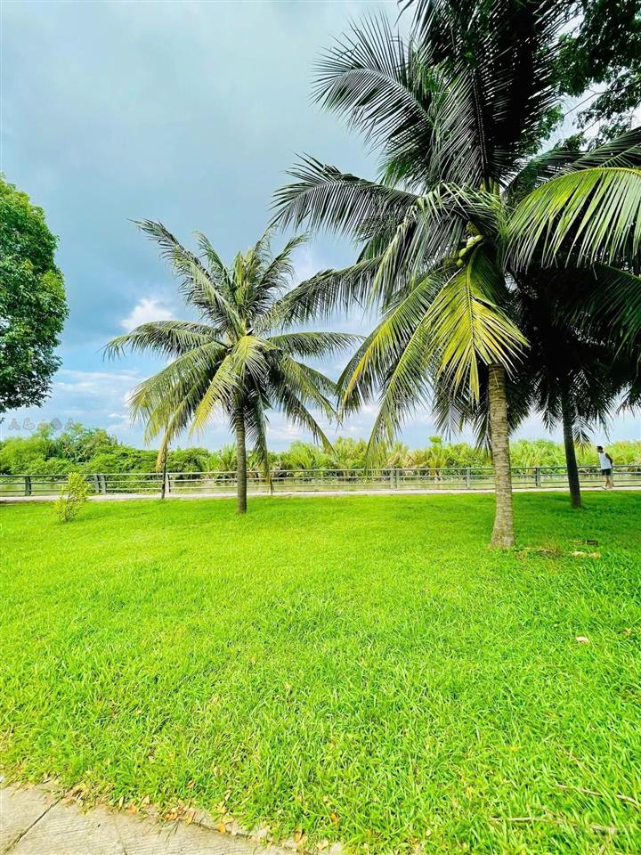 Cần bán nhà nội thất cơ bản kdc park riverside, bưng ông thoàn, giá 10 tỷ/căn còn thương lượng