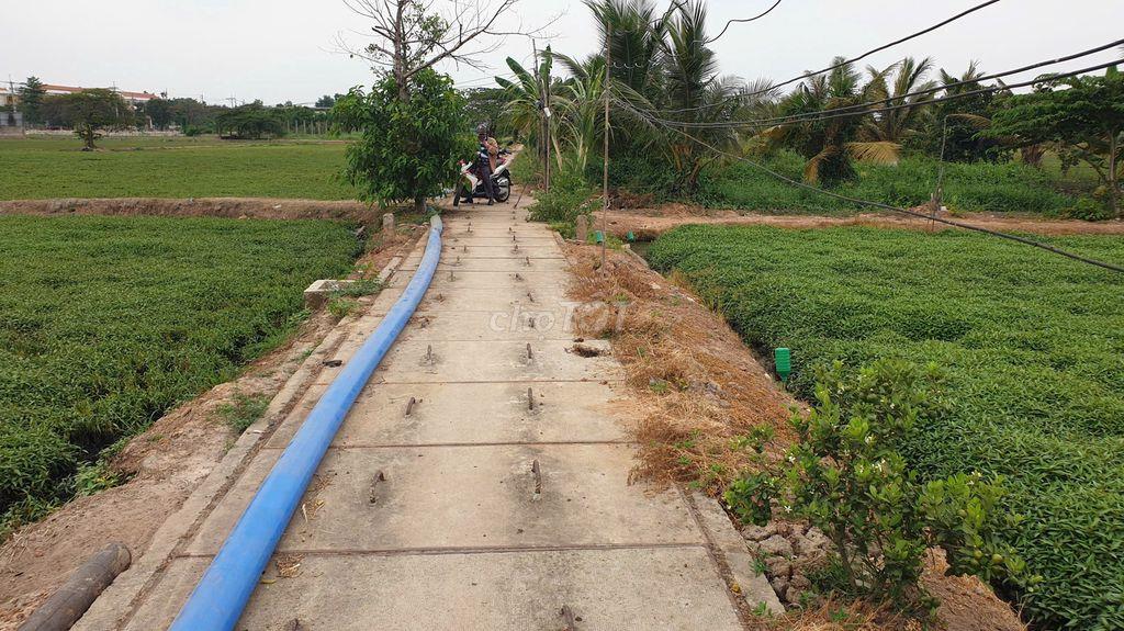 Bán lô đất DT 40x50, hẻm Bà Điểm 4, gần trường Bùi Văn Ngữ- Bà Điểm HM
