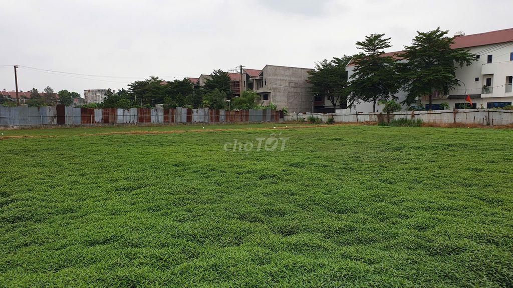 Bán lô đất DT 40x50, hẻm Bà Điểm 4, gần trường Bùi Văn Ngữ- Bà Điểm HM
