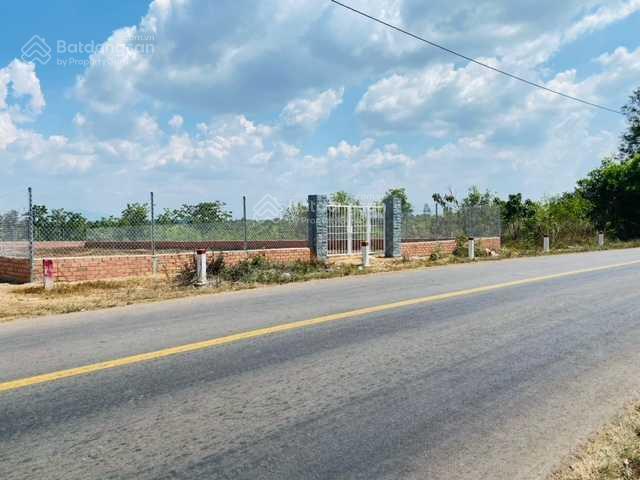 Bán lô đất 1095m2 full thổ cư  nằm trên mặt tiền đường 101 nam lộ 101, lộ, la ngà, đồ