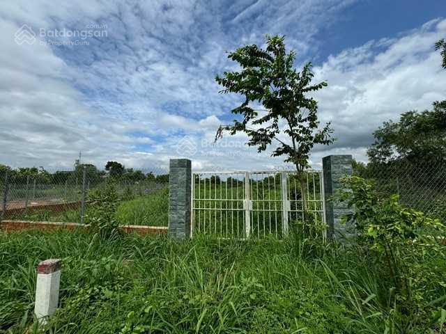 Bán lô đất 1095m2 full thổ cư  nằm trên mặt tiền đường 101 nam lộ 101, lộ, la ngà, đồ