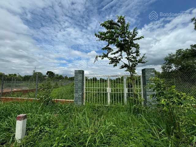 Bán lô đất 1095m2 full thổ cư  nằm trên mặt tiền đường 101 nam lộ 101, lộ, la ngà, đồ