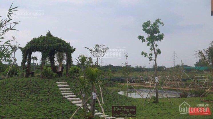 Bán đất nền dự án saigon village đường lê văn lương nối dài, cần giuộc, long an