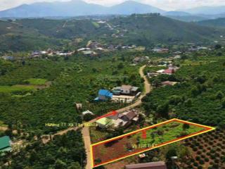 Bán đất thổ cư tân nghĩa di linh lâm đồng gần trung tâm, giá 550 triệu, sổ hồng riêng