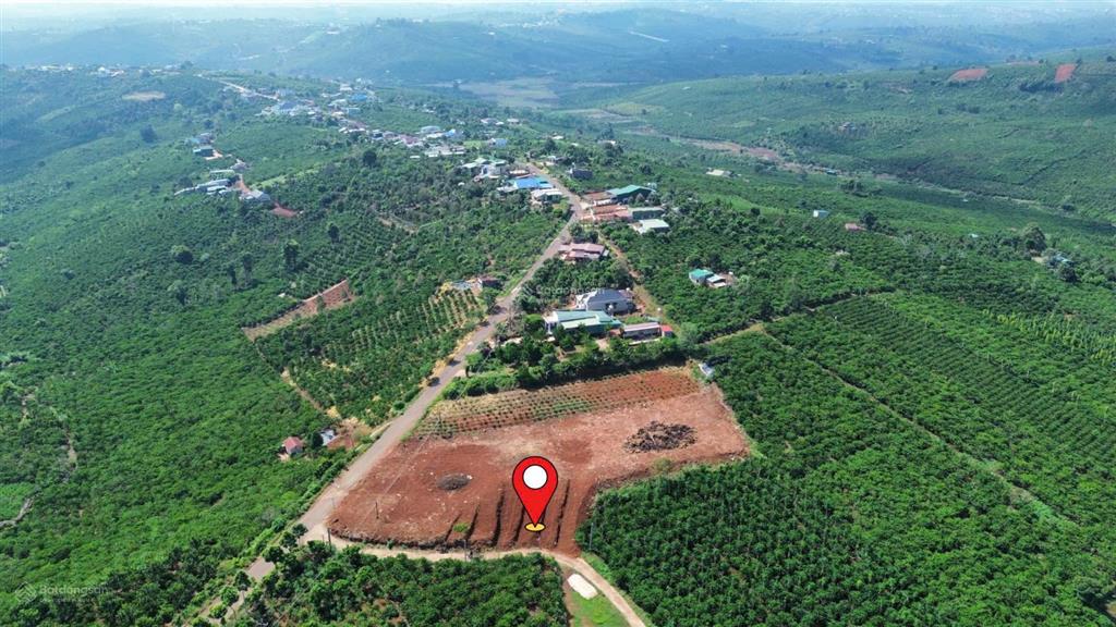 Bán đất tân nghĩa di linh 170m2 giá 439 triệu, cách đường nhựa liên xã 20m, ô tô tận đất.